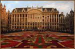 В Бельгии постелили традиционный цветочный ковер 
