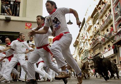 В Памплоне туристы попали под ноги разъяренных быков 