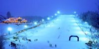 В Варшаве можно покататься на горных лыжах
