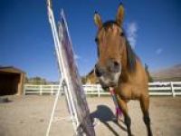 В Венеции открывается выставка картин коня-живописца