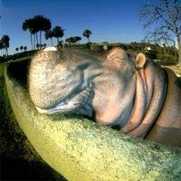 В зоопарке не будет клеток