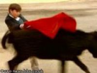 11-летний матадор убил шесть быков