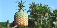 16-метровый ананас стал культурным достоянием Австралии