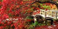 Пять лучших осенних направлений в Японии