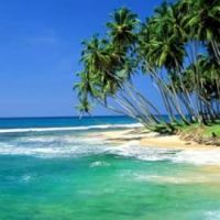 Сейшельские острова с расширением .travel