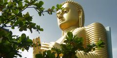Шри-Ланку можно посещать и с заканчивающимся загранпаспортом