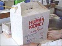 Трансплантационный туризм идет в Испанию