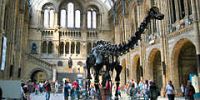В Лондоне детям предлагают переночевать с динозаврами
