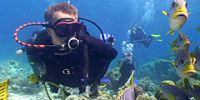 Австралийский остров Лизард назван Lonely Planet лучшим местом для дайвинга