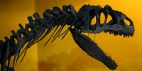 Бесплатная выставка динозавров в Мадриде
