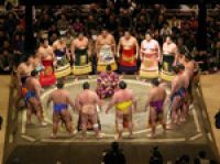 Япония: туристам раскроют секреты сумо