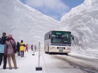 "Снежные стены": завлекалочка по-японски