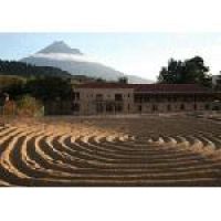 В Гватемале туристов приглашают на кофейную плантацию