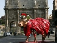 Выставка коров проходит в Риме