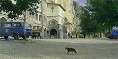 Экскурсии по Черногории обходятся в среднем в сумму около 30 евро