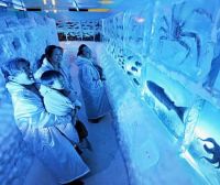 Замороженный подводный мир Японии