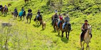 "Золотая подкова" - конный туристический маршрут в Белоруссии