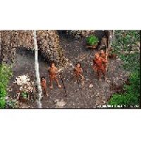 В Амазонии удалось сфотографировать неконтактных индейцев