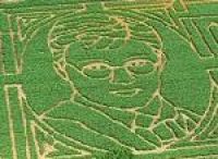 В Великобритании появился «кукурузный» портрет-лабиринт Гарри Поттера 