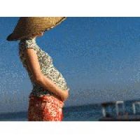 Великобритания: беременные женщины за введение единых правил авиаперелетов 