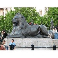 Великобритания: львов на Трафальгарской площади защитят от туристов 