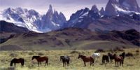 По Чили и Аргентине создали природно-этнографический тур