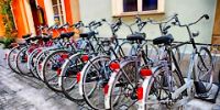 Система проката велосипедов заработает в Варшаве