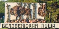 День рождения самой высокой ёлки отметят в Белоруссии