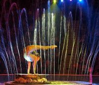 Дубай приглашает туристов в водный театр