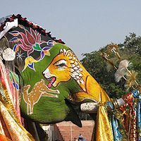 Туристам в Таиланде предложат разукрасить слонов