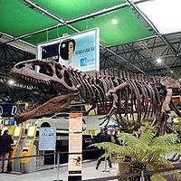 В аэропорту Турина установили скелет динозавра