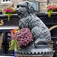 В Эдинбурге отреставрируют памятник верному псу