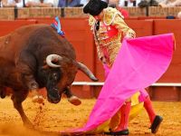 Барселонским боям с быками остались считанные месяцы
