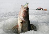 Чемпионы зимней рыбалки соберутся в Лапландии