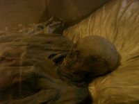 Следы мумии фараона в Чехии