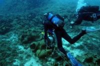 20 старинных затонувших кораблей обнаружили у берегов Греции