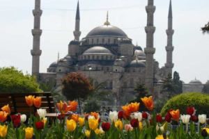 Фестиваль тюльпанов пройдет в Стамбуле