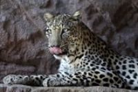 В ОАЭ новые достопримечательности