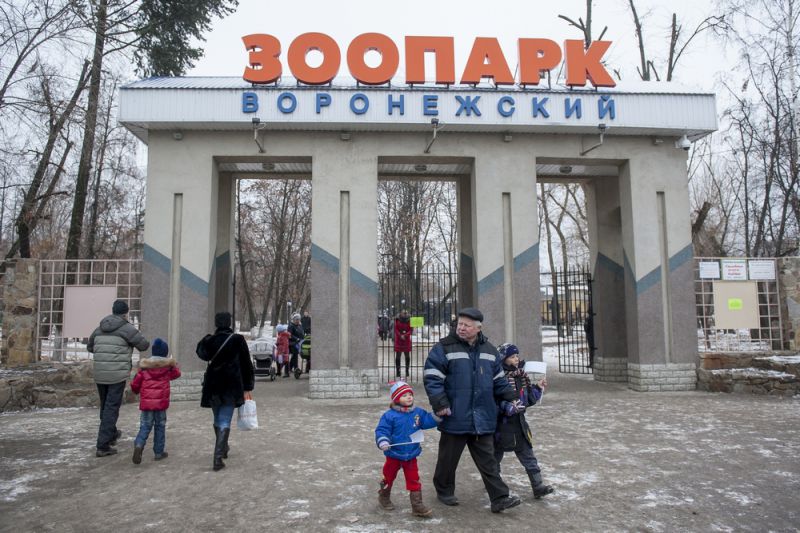Воронежский зоопарк ждёт посетителей
