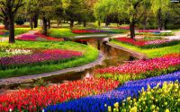 Цветочный парк Кёкенхоф открывает новый сезон