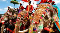 Популярный карнавал пройдет в индийском Гоа