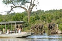 Слон набросился на лодку с туристами в Ботсване