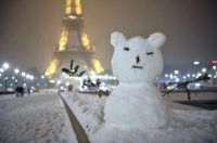 Во Франции сильные снегопады