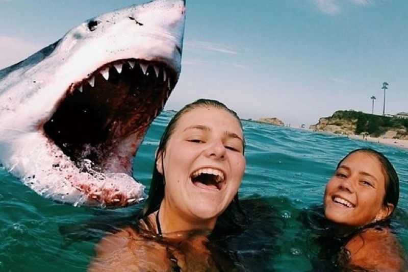 Печальную статистику имеет современный способ фотографирования селфи