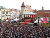 Праздник по случаю сбора урожая винограда пройдет в Чехии