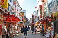 Российские туристы смогут посещать Японию без виз
