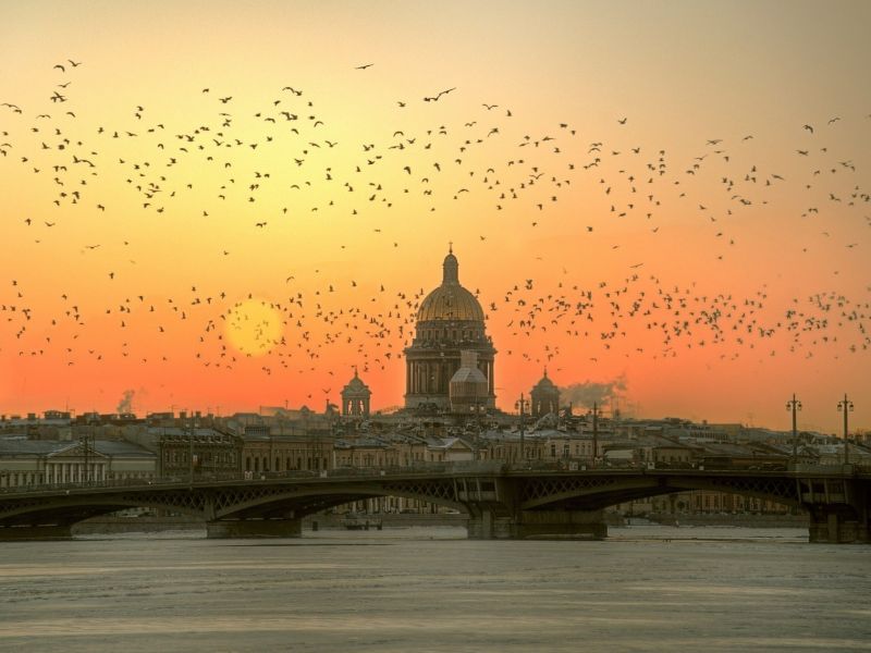 В Петербурге введут туристический налог