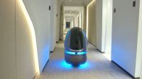Китайский отель ввел в обслуживающий персонал роботов