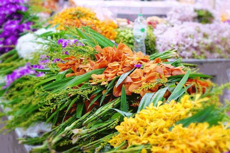 Таиланд готовится к Фестивалю цветов