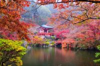 В Киото примут меры для увеличения туристического потока